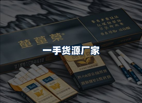 专业团队办公环境